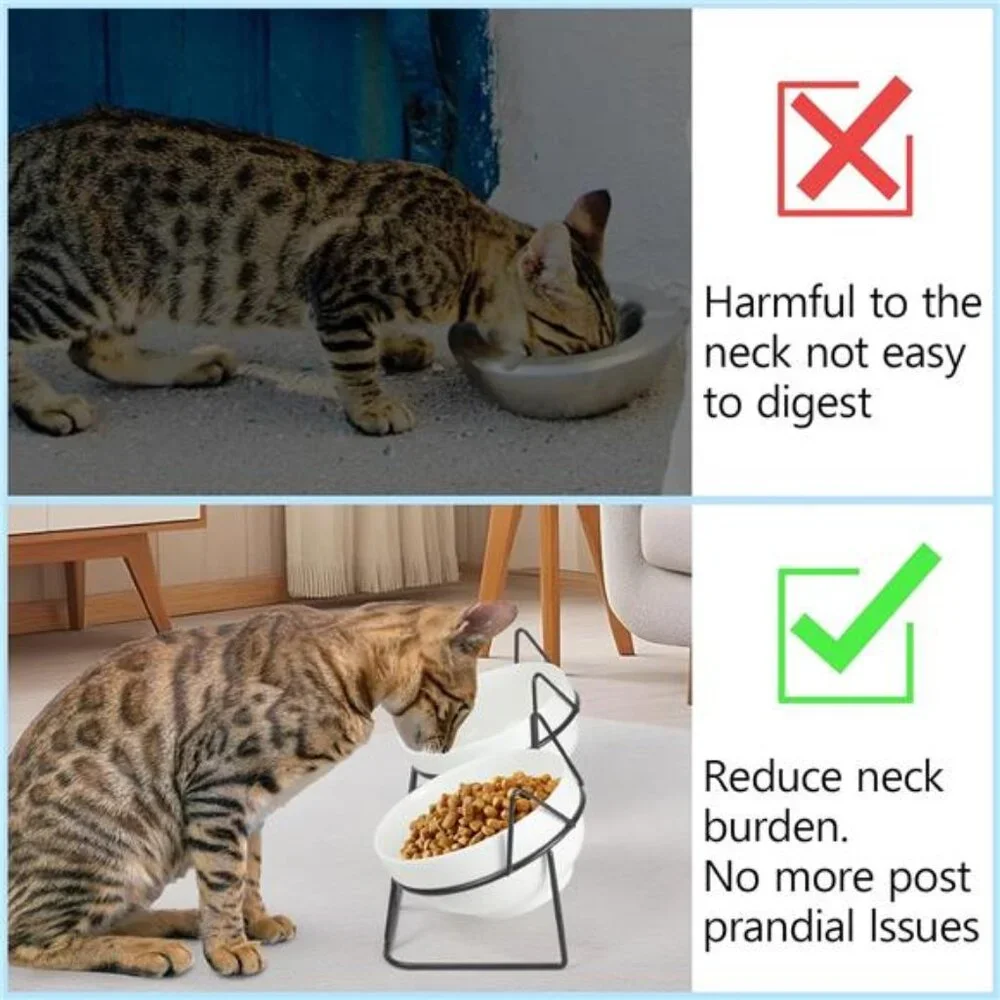 Elevated Tilted Cat Bowls for Indoor Cats，Raised Ceramic Cat Bowl Elevated15°
